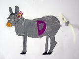donkey