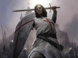 这个是圣殿骑士