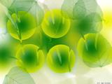 xin_a7e12930c9424196ac30d07d6a394a20_72