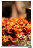 BBQ 088