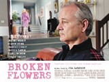 broken flowers