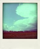 S73R2928-pola