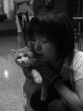 野三坡的猫