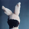 spacey-as-a-rabbit