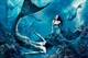 Where Another World is Just a Wish Away