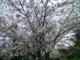 Image(013)