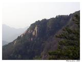 照片 056