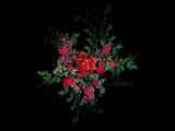 Creative_Fractal_Art_Flowerings_68