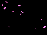 f21f8d091bc3e510e824882a