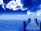 8b85c8a28d6d9888cbefd095