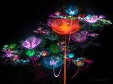 Creative_Fractal_Art_Flowerings_75