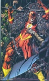 FLASH