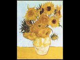 sunflowr