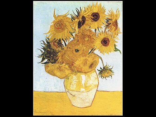 sunflowr