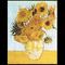 sunflowr