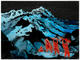 daniel_richter_the_entertainus_2009_drm_