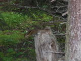 DSCF0008