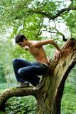 tree climb