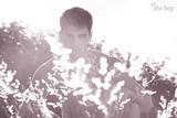 light