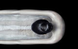 118
