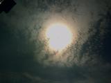 photo00035