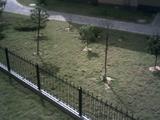 photo00026