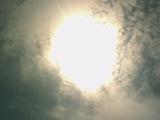 photo00030