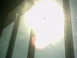 photo00007