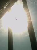 photo00010