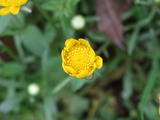 DSCF0730