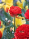 DSCF0729