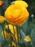 DSCF0726