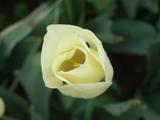 DSCF0723