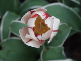 DSCF0731