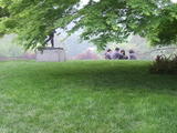 DSCF0709