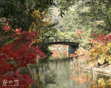 wallpaper01_1280-1024