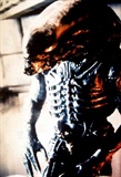 Aliens%20(226)
