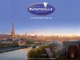 rat_wallsParis_800