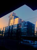20090114991