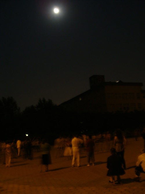 DSC00879