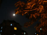 DSC00861
