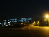 DSC00919