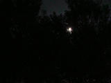 DSC00909