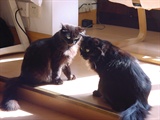 Annie & DD