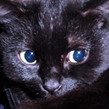 Annie~