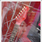 ARK_PHOTO