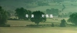 雏菊 (9)