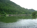 青山绿水