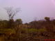DSC00633