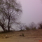 DSC00051